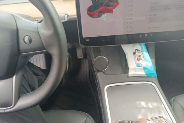 Used Tesla Model 3 2021 Revised Version Standard Range Rear-Wheel Drive Upgraded Edition 3D1 Gear Lever
