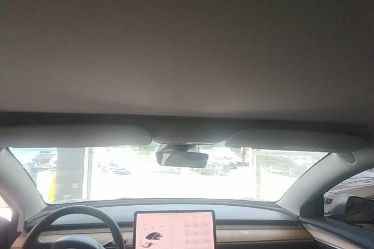 Used Tesla Model 3 2021 Standard Range Rear-Wheel Drive Upgraded Version 3D6 Headliner