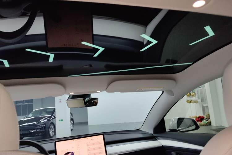 Used Tesla Model 3 2021 Revised Version II – Performance High-Performance All-Wheel-Drive Edition Headliner