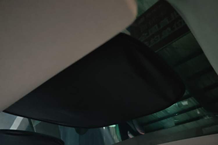 Used Tesla Model 3 2021 Standard Range Rear-Drive Upgraded Version Headliner