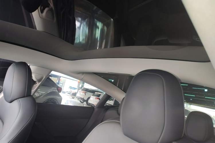 Used Tesla Model 3 2021 Standard Range Rear-Wheel Drive Upgraded Version 3D6 Headliner