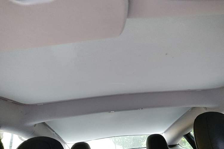 Used Tesla Model 3 2021 Performance High-Performance All-Wheel-Drive Version Headliner