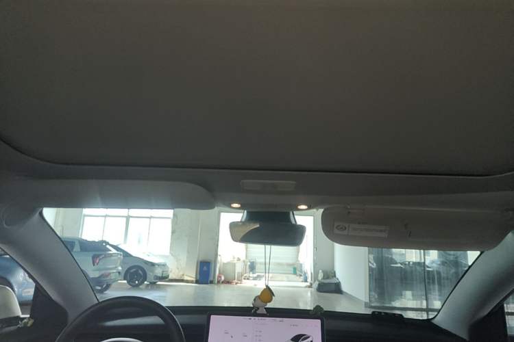 Used Tesla Model 3 2021 Performance High-Performance All-Wheel-Drive Version Headliner