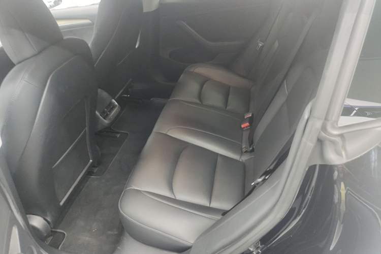 Used Tesla Model 3 2021 Performance High-Performance All-Wheel-Drive Version Left Rear Seat
