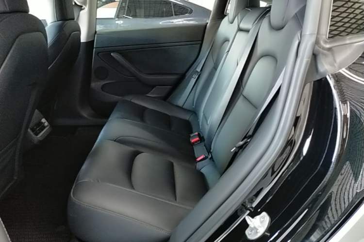Used Tesla Model 3 2021 Performance High-Performance All-Wheel-Drive Version Left Rear Seat