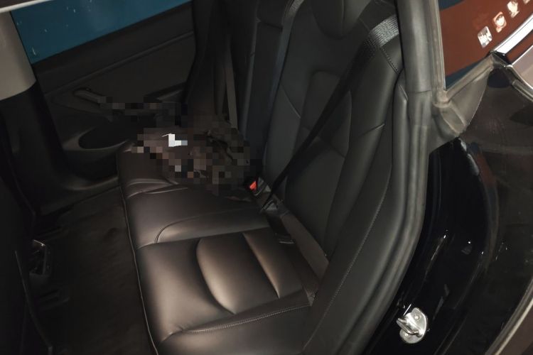 Used Tesla Model 3 2021 Standard Range Rear-Drive Upgraded Version Left Rear Seat