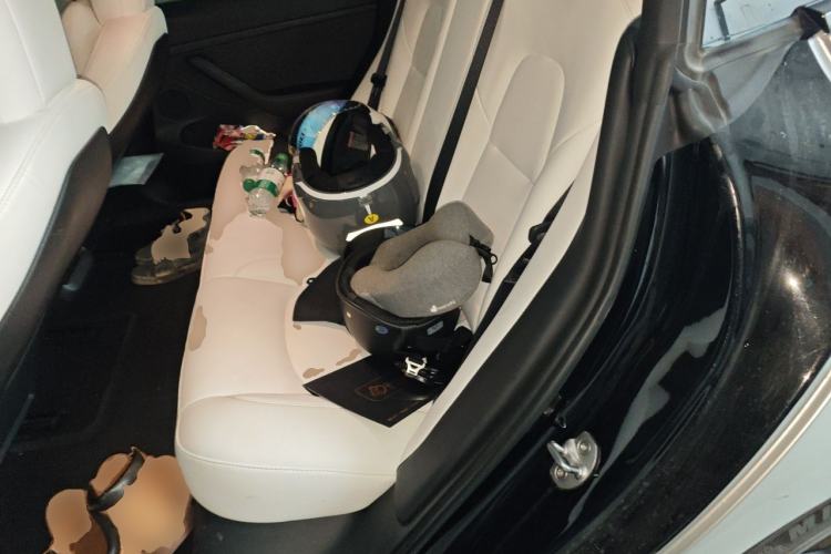 Used Tesla Model 3 2021 Revised Version II – Performance High-Performance All-Wheel-Drive Edition Left Rear Seat