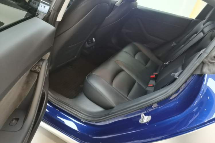 Used Tesla Model 3 2021 Performance High-Performance All-Wheel-Drive Version Left Rear Seat