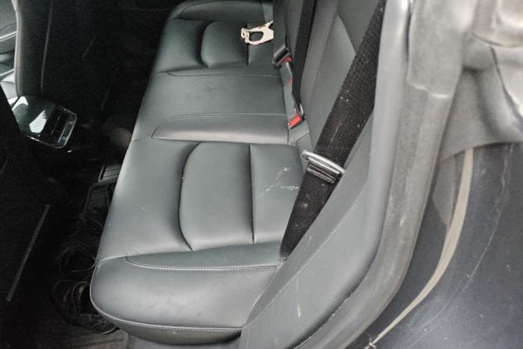Used Tesla Model 3 2021 Revised Version Standard Range Rear-Wheel Drive Upgraded Edition 3D1 Left Rear Seat