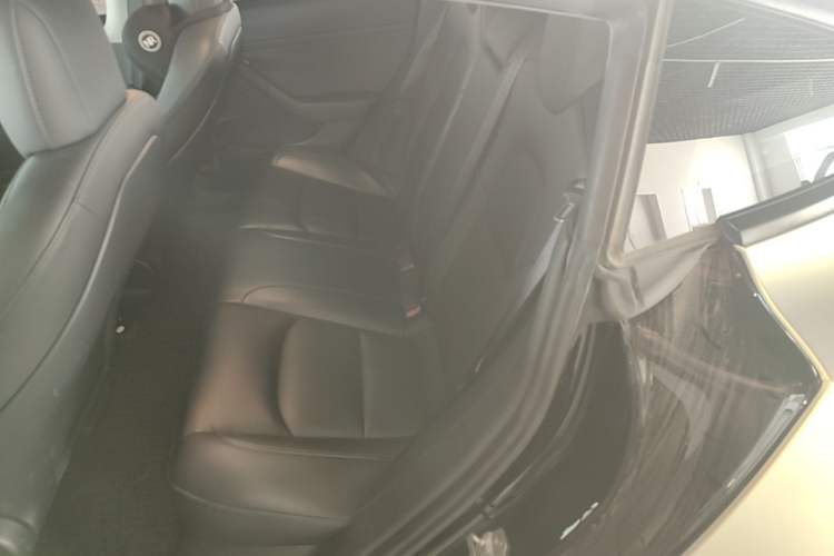 Used Tesla Model 3 2021 Performance High-Performance All-Wheel-Drive Version Left Rear Seat