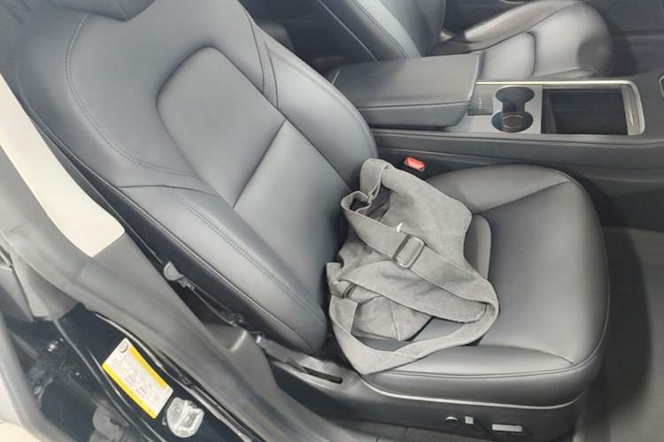 Used Tesla Model 3 2021 Standard Range Rear-Drive Upgraded Version Right Front Seat