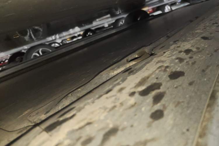 Used Tesla Model 3 2021 Standard Range Rear-Wheel Drive Upgraded Version 3D6 Right Side Sill