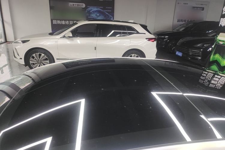 Used Tesla Model 3 2021 Performance High-Performance All-Wheel-Drive Version Roof