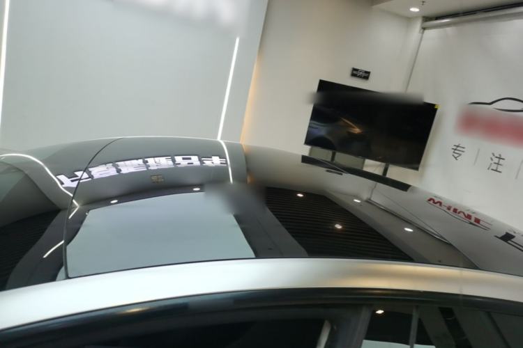 Used Tesla Model 3 2021 Performance High-Performance All-Wheel-Drive Version Roof
