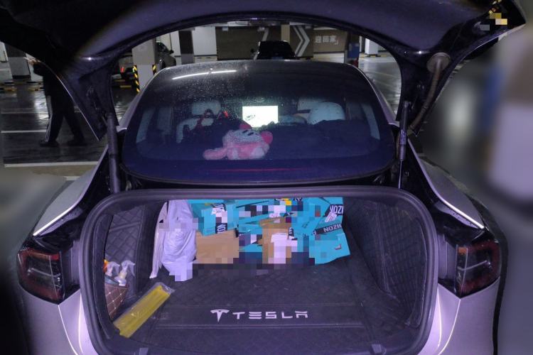 Used Tesla Model 3 2021 Standard Range Rear-Wheel Drive Upgraded Version 3D6 Trunk