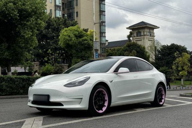 Used Tesla Model 3 2021 Revised Version Standard Range Rear-Wheel Drive Upgraded Edition 3D1