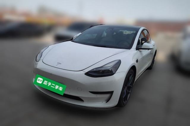 Used Tesla Model 3 2021 Revised Performance Version with All-Wheel Drive 3D1