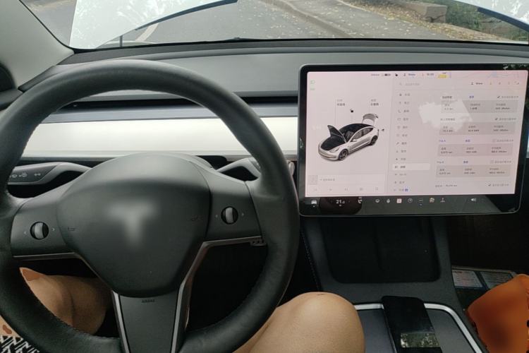 Used Tesla Model 3 2021 Performance High-Performance All-Wheel-Drive Version Center Console