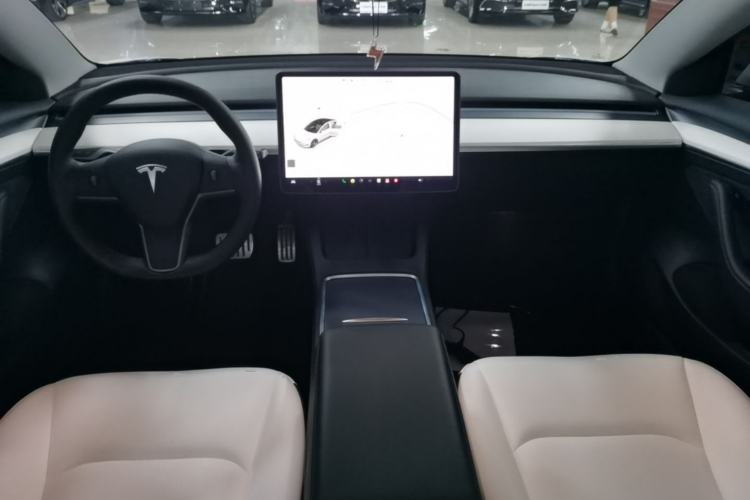Used Tesla Model 3 2021 Performance High-Performance All-Wheel-Drive Version Center Console