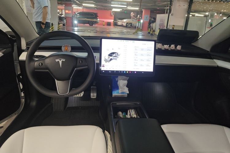 Used Tesla Model 3 2021 Performance High-Performance All-Wheel-Drive Version Center Console