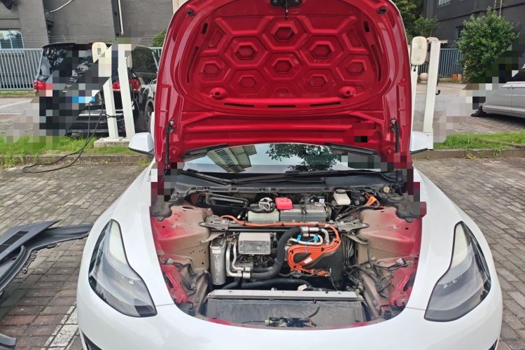 Used Tesla Model 3 2021 Revised Version Standard Range Rear-Wheel Drive Upgraded Edition 3D1 Engine Bay