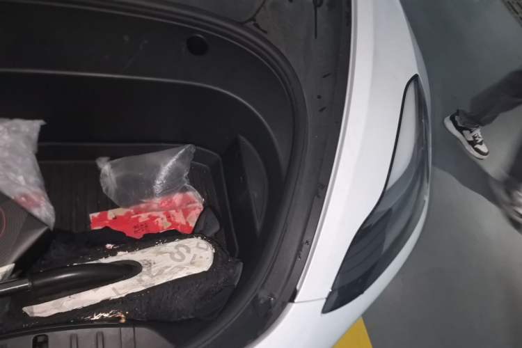 Used Tesla Model 3 2021 Performance High-Performance All-Wheel-Drive Version Engine Bay Left