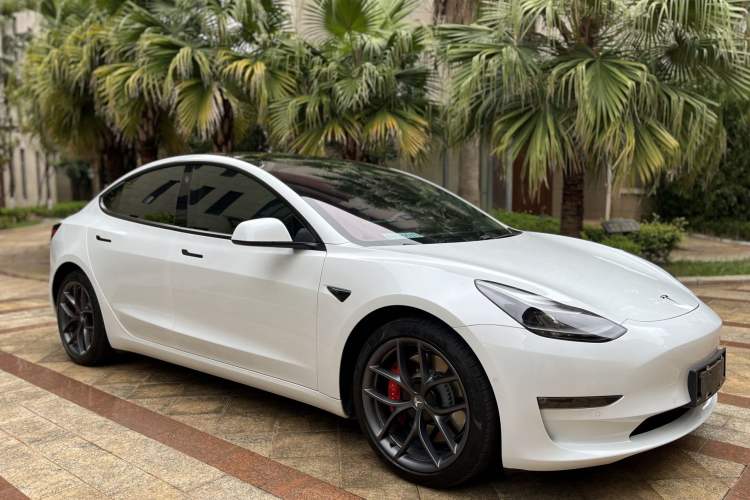 Used Tesla Model 3 2021 Performance High-Performance All-Wheel-Drive Version Exterior 1