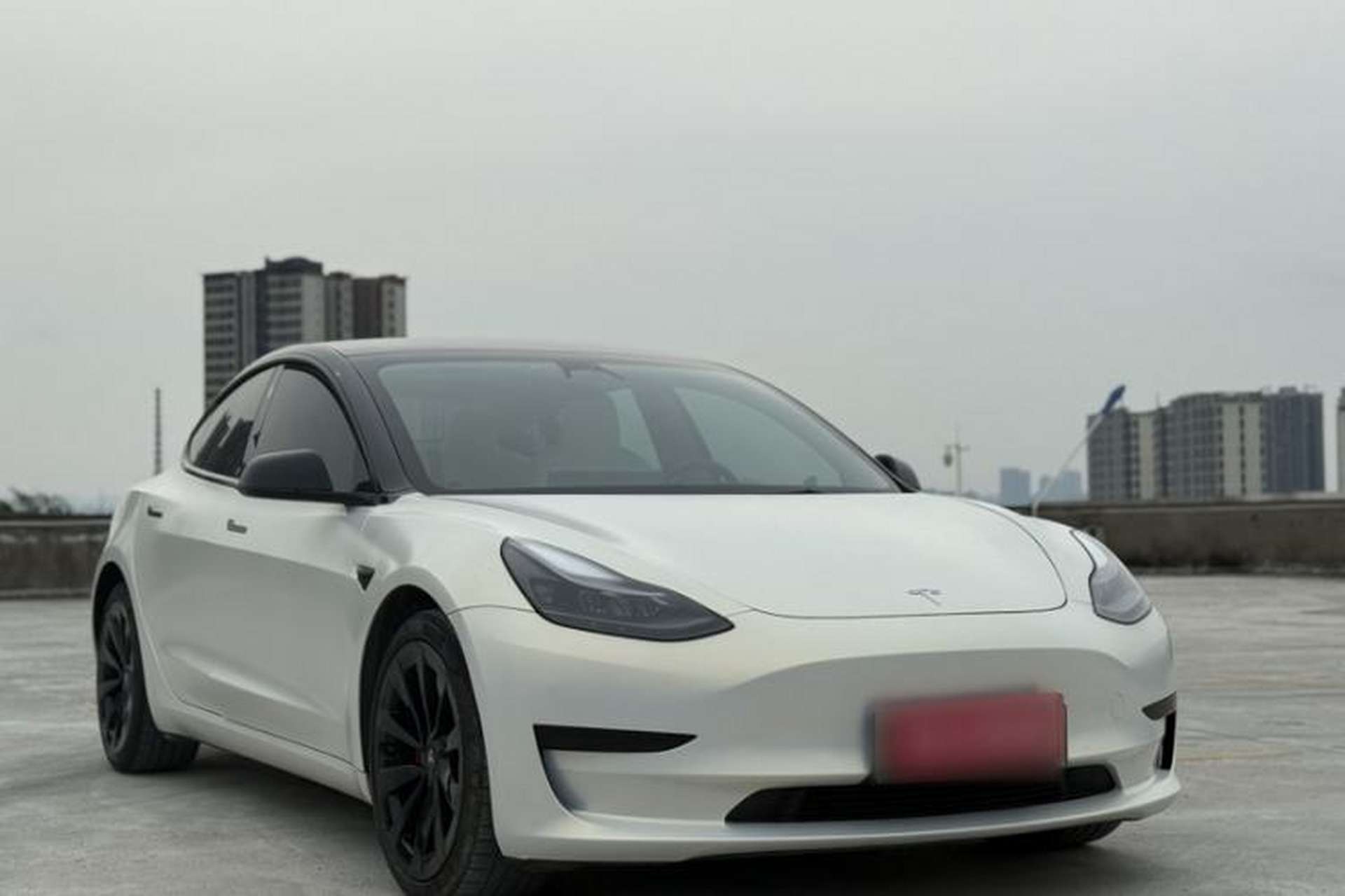 Used Tesla Model 3 2021 Standard Range Rear-Drive Upgraded Version Exterior 1