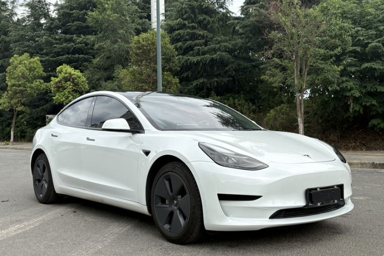 Used Tesla Model 3 2021 Revised Version Standard Range Rear-Wheel Drive Upgraded Edition 3D1 Exterior 1