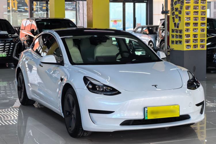 Used Tesla Model 3 2021 Standard Range Rear-Drive Upgraded Version Exterior 1