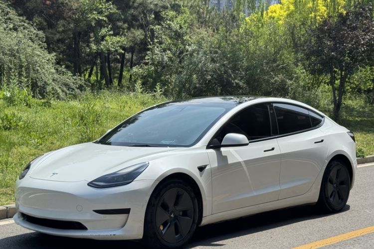 Used Tesla Model 3 2021 Standard Range Rear-Wheel Drive Upgraded Version 3D6 Exterior 1