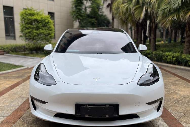 Used Tesla Model 3 2021 Performance High-Performance All-Wheel-Drive Version Exterior 2
