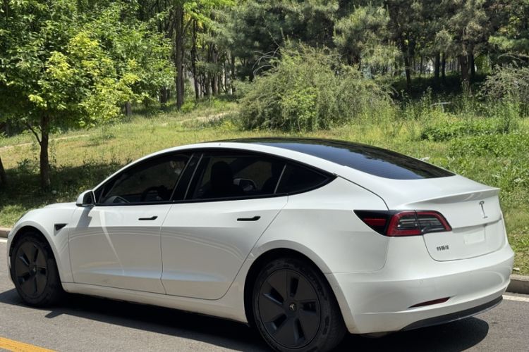 Used Tesla Model 3 2021 Standard Range Rear-Wheel Drive Upgraded Version 3D6 Exterior 2