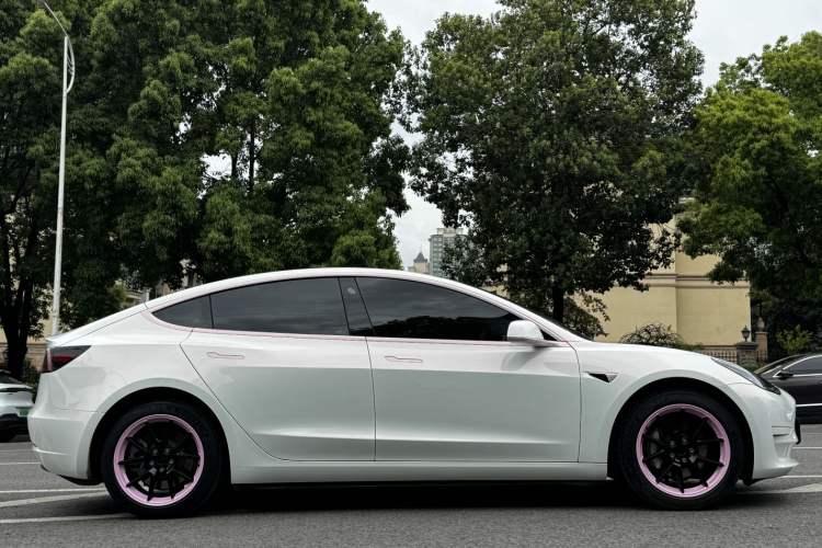 Used Tesla Model 3 2021 Revised Version Standard Range Rear-Wheel Drive Upgraded Edition 3D1 Exterior 3