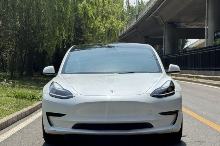 Used Tesla Model 3 2021 Standard Range Rear-Wheel Drive Upgraded Version 3D6 Exterior 3