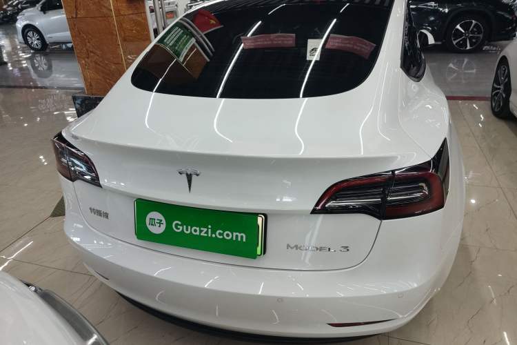 Used Tesla Model 3 2021 Standard Range Rear-Drive Upgraded Version Exterior 4