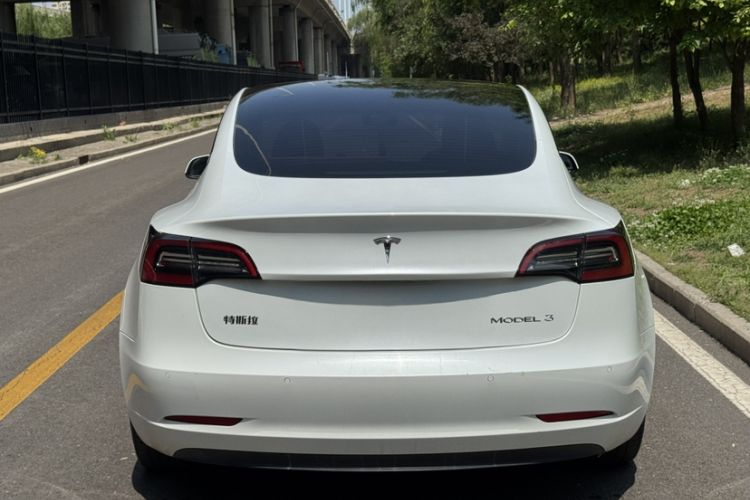 Used Tesla Model 3 2021 Standard Range Rear-Wheel Drive Upgraded Version 3D6 Exterior 4