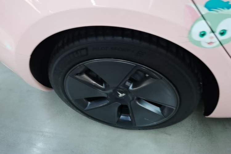 Used Tesla Model 3 2021 Revised Version Standard Range Rear-Wheel Drive Upgraded Edition 3D1 Exterior 5