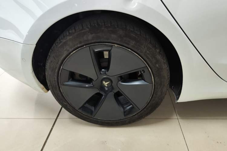 Used Tesla Model 3 2021 Standard Range Rear-Wheel Drive Upgraded Version 3D6 Exterior 5