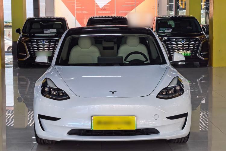 Used Tesla Model 3 2021 Standard Range Rear-Drive Upgraded Version Exterior 5