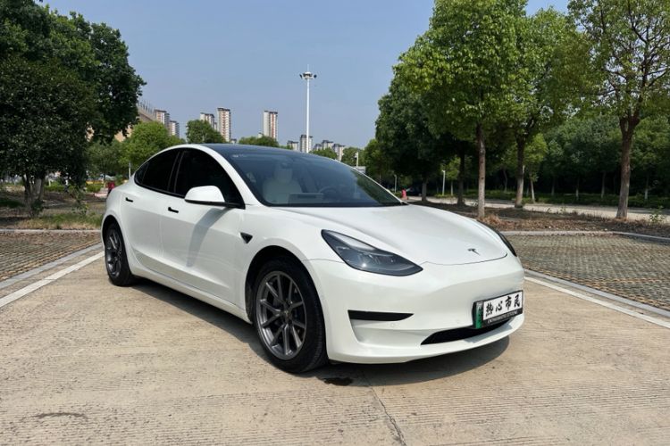 Used Tesla Model 3 2021 Standard Range Rear-Wheel Drive Upgraded Version 3D6 Exterior 5