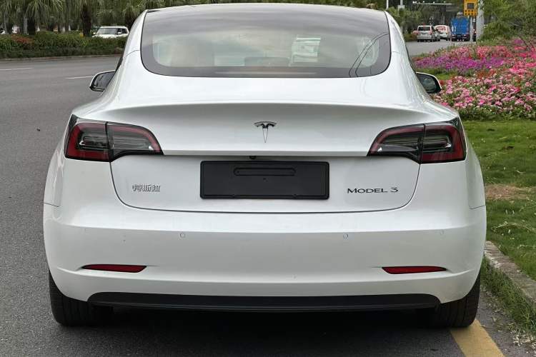 Used Tesla Model 3 2021 Standard Range Rear-Wheel Drive Upgraded Version 3D6
