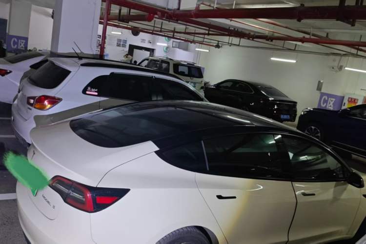 Used Tesla Model 3 2021 Standard Range Rear-Wheel Drive Upgraded Version 3D6 Exterior 5