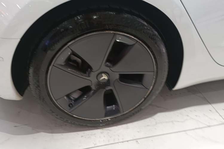 Used Tesla Model 3 2021 Standard Range Rear-Drive Upgraded Version Exterior 5