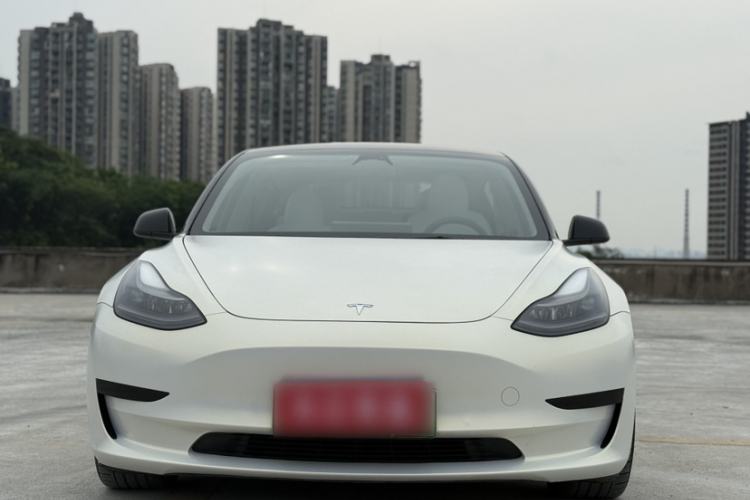 Used Tesla Model 3 2021 Standard Range Rear-Drive Upgraded Version Exterior 6