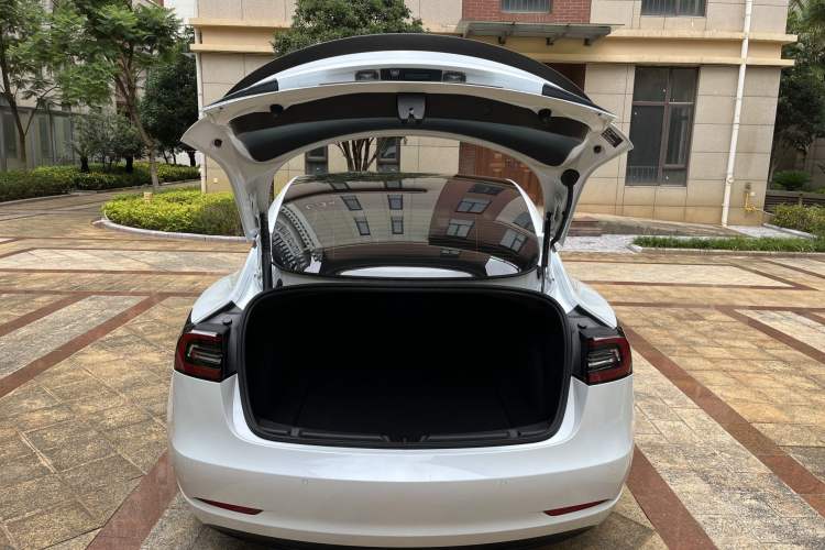 Used Tesla Model 3 2021 Performance High-Performance All-Wheel-Drive Version Exterior 8