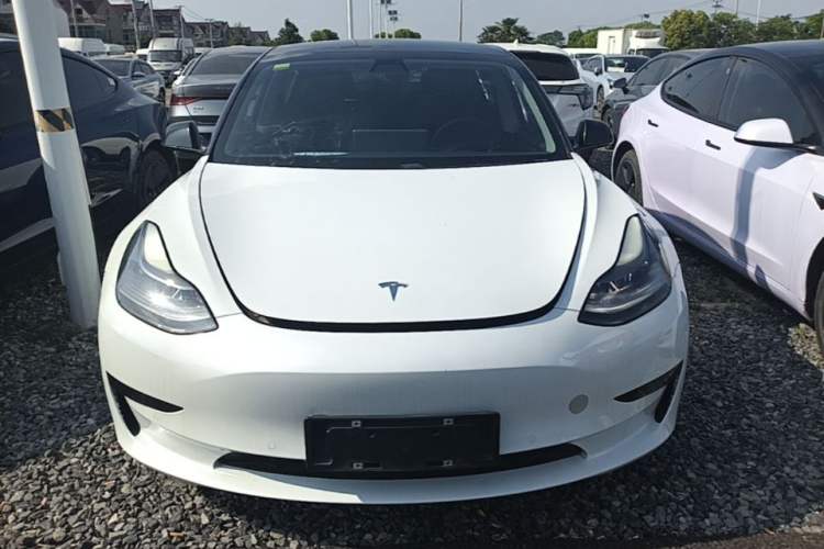 Used Tesla Model 3 2021 Revised Version Standard Range Rear-Wheel Drive Upgraded Edition 3D1 Front