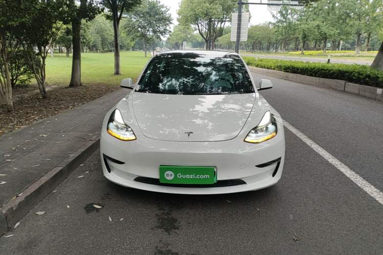 Used Tesla Model 3 2021 Performance High-Performance All-Wheel-Drive Version Front