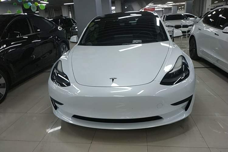 Used Tesla Model 3 2021 Revised Version Standard Range Rear-Wheel Drive Upgraded Edition 3D1 Front