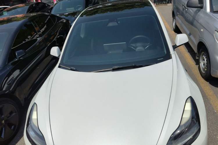 Used Tesla Model 3 2021 Standard Range Rear-Wheel Drive Upgraded Version 3D6 Front